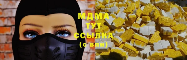 амф Дмитриев