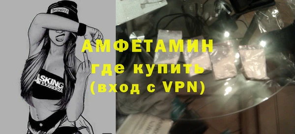 дживик Ельня