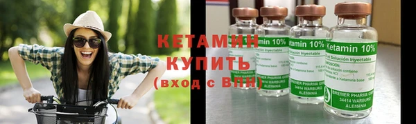 дживик Ельня