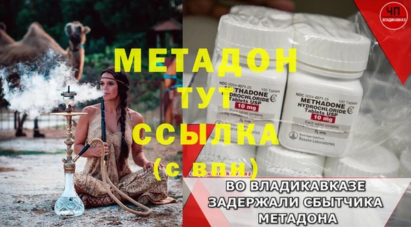 гашик Дмитров