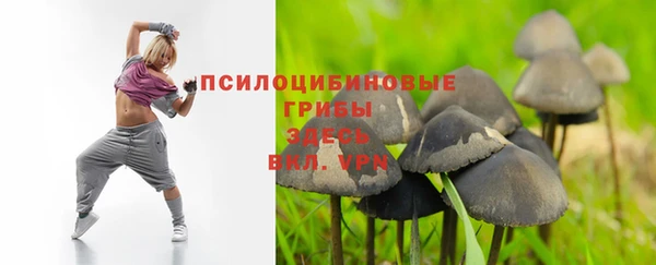 дживик Ельня
