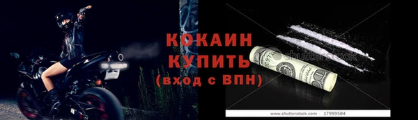 гашик Дмитров