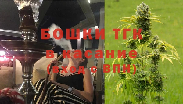 тгк Елизово
