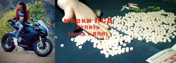 дживик Ельня