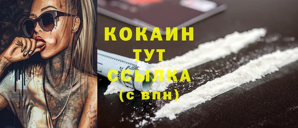 дживик Ельня