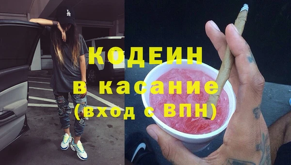 амф Дмитриев