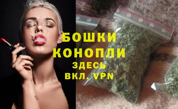 молекула духа Заволжск