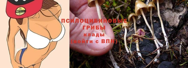 молекула духа Заволжск