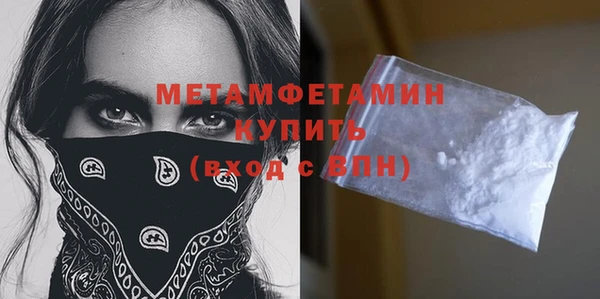 дживик Ельня