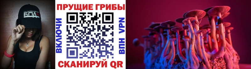 Галлюциногенные грибы мухоморы  Сосенский 